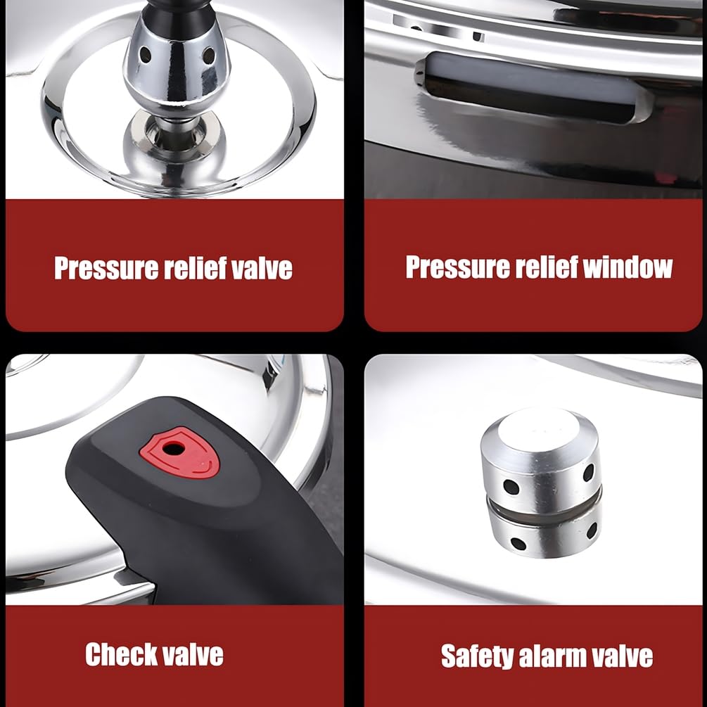 Stainless Steel Pressure Cooker F487