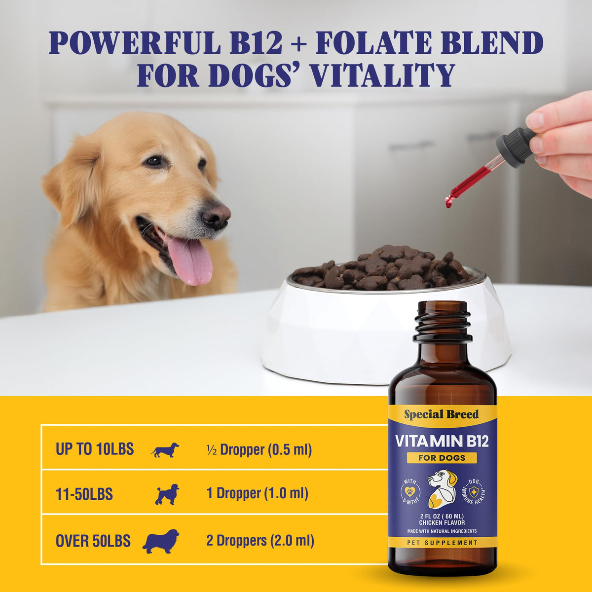 Liquid Vitamin B12 for Dogs, Chicken Flavor, 2 fl oz D416