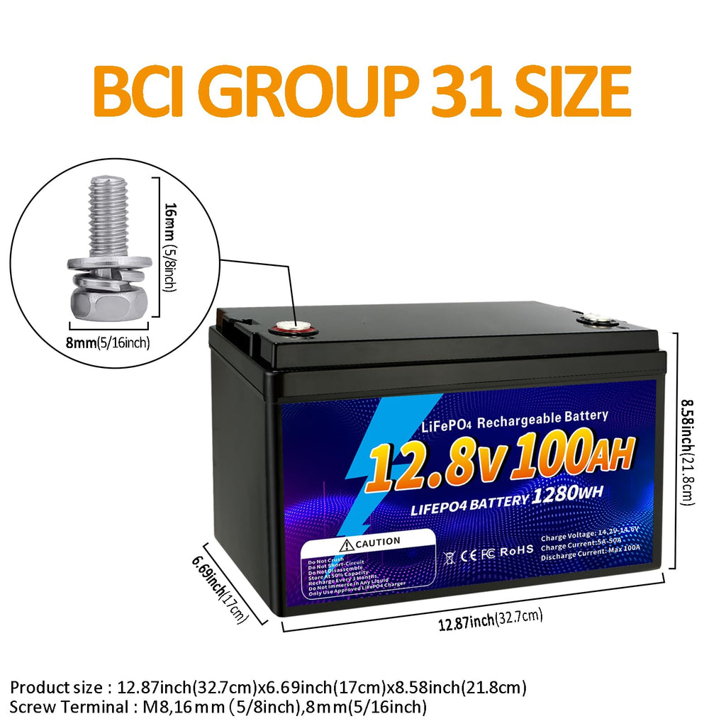 12V 100Ah LiFePO4 Battery G21259