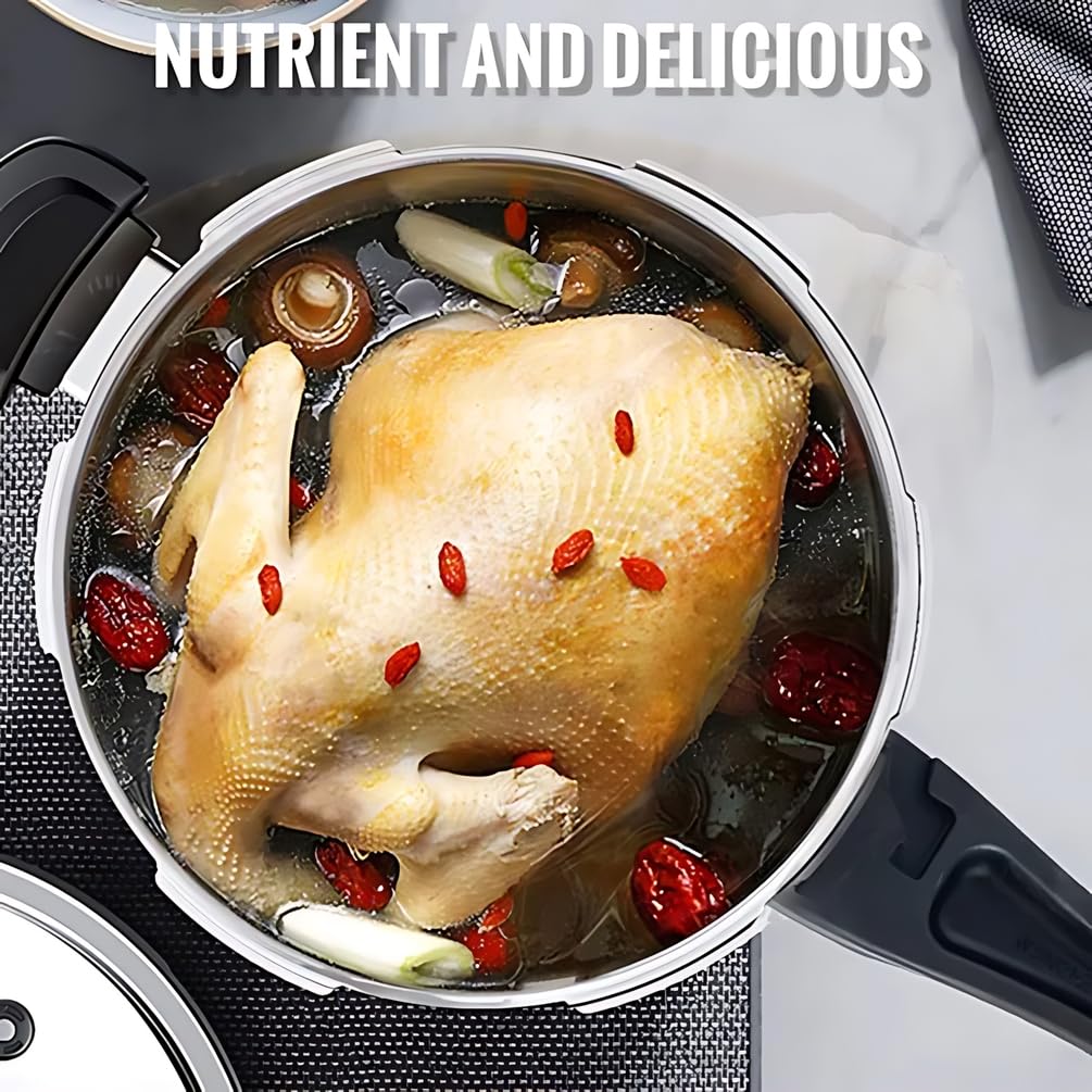 Stainless Steel Pressure Cooker F487