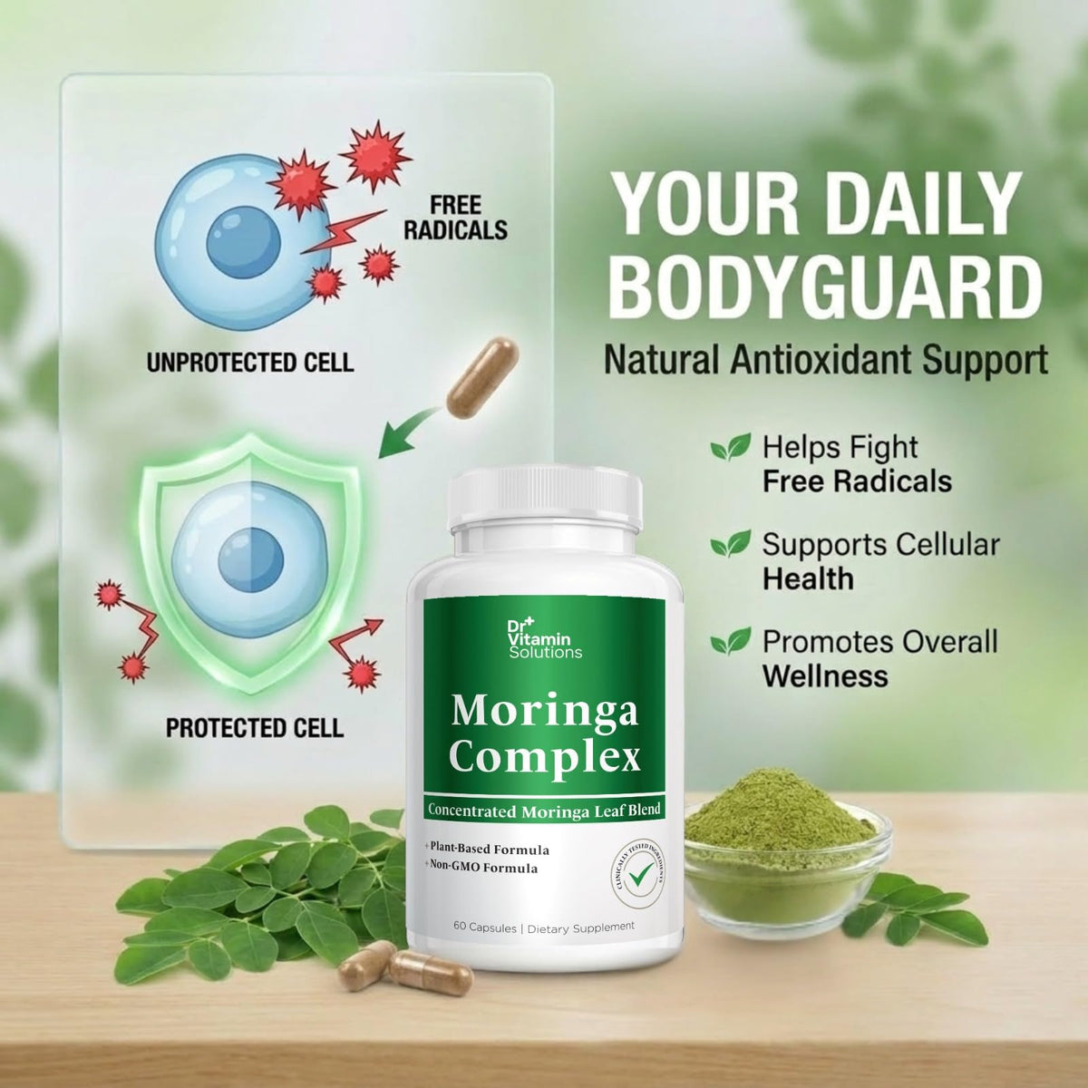 Moringa Oleifera Capsules with 20:1 Leaf Extract O81367