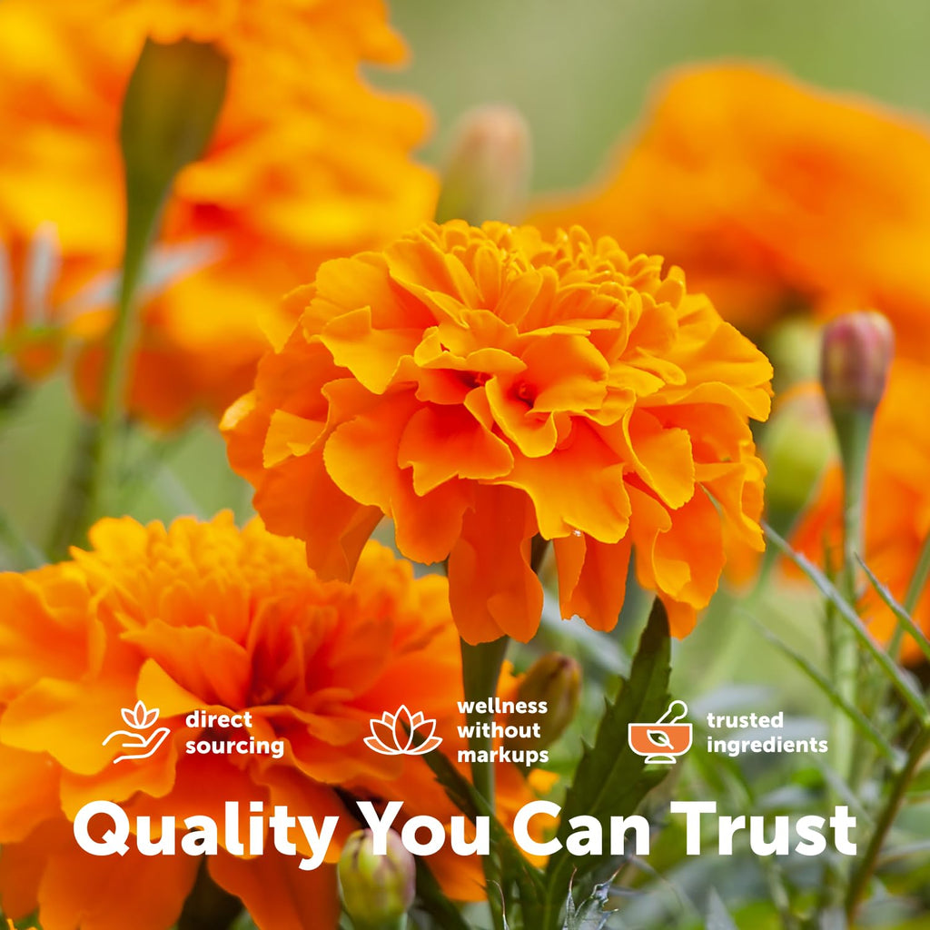Lutein Zeaxanthin 40mg Omega-3 DHA EPA I735