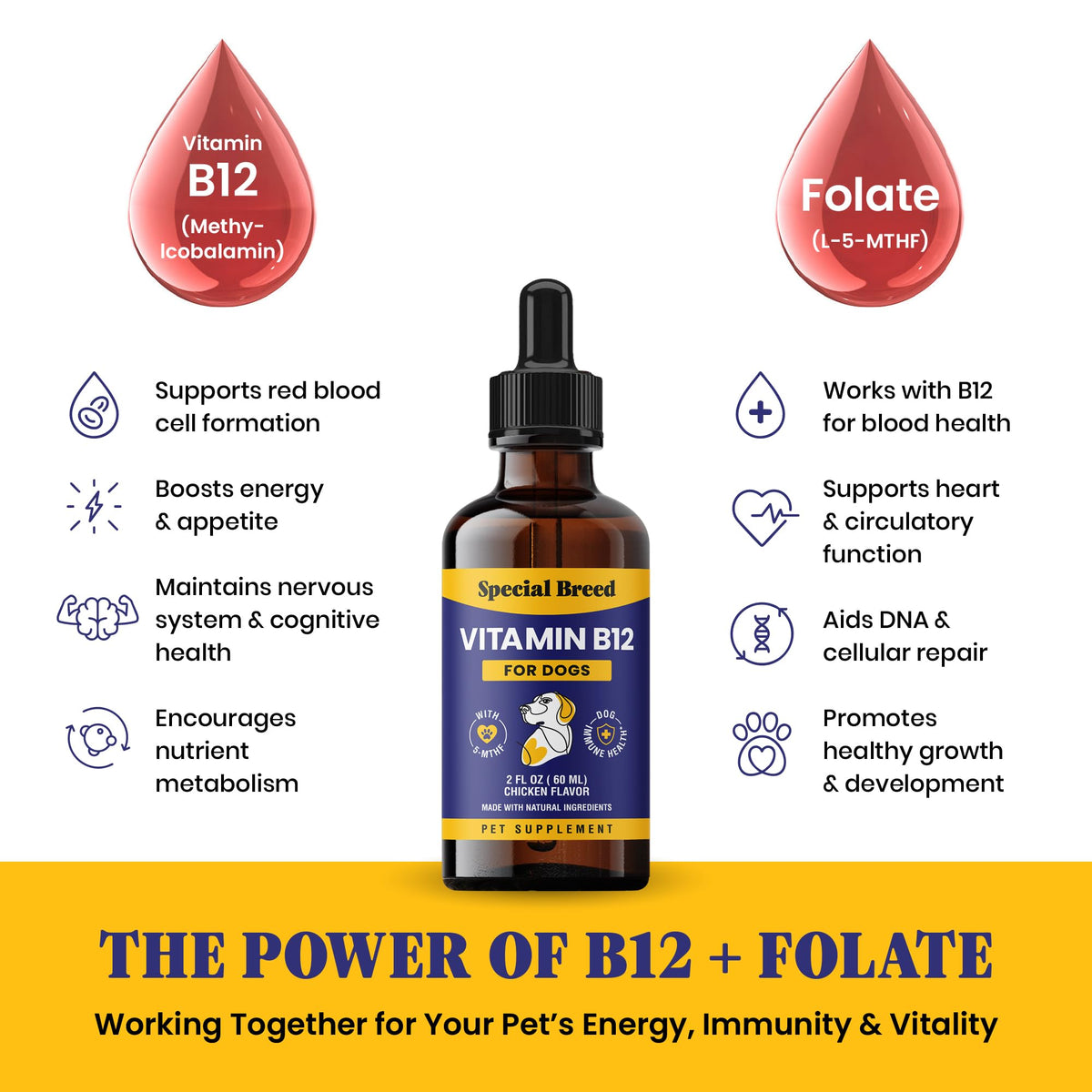Liquid Vitamin B12 for Dogs, Chicken Flavor, 2 fl oz D416