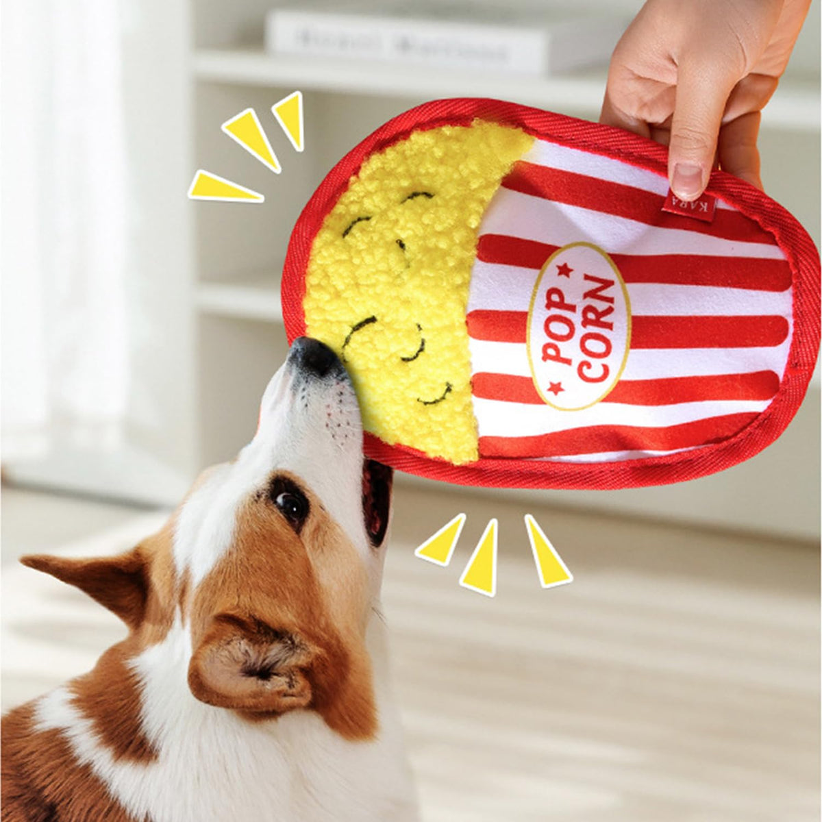 Plush Squeaky Crinkle Dog Toys O238