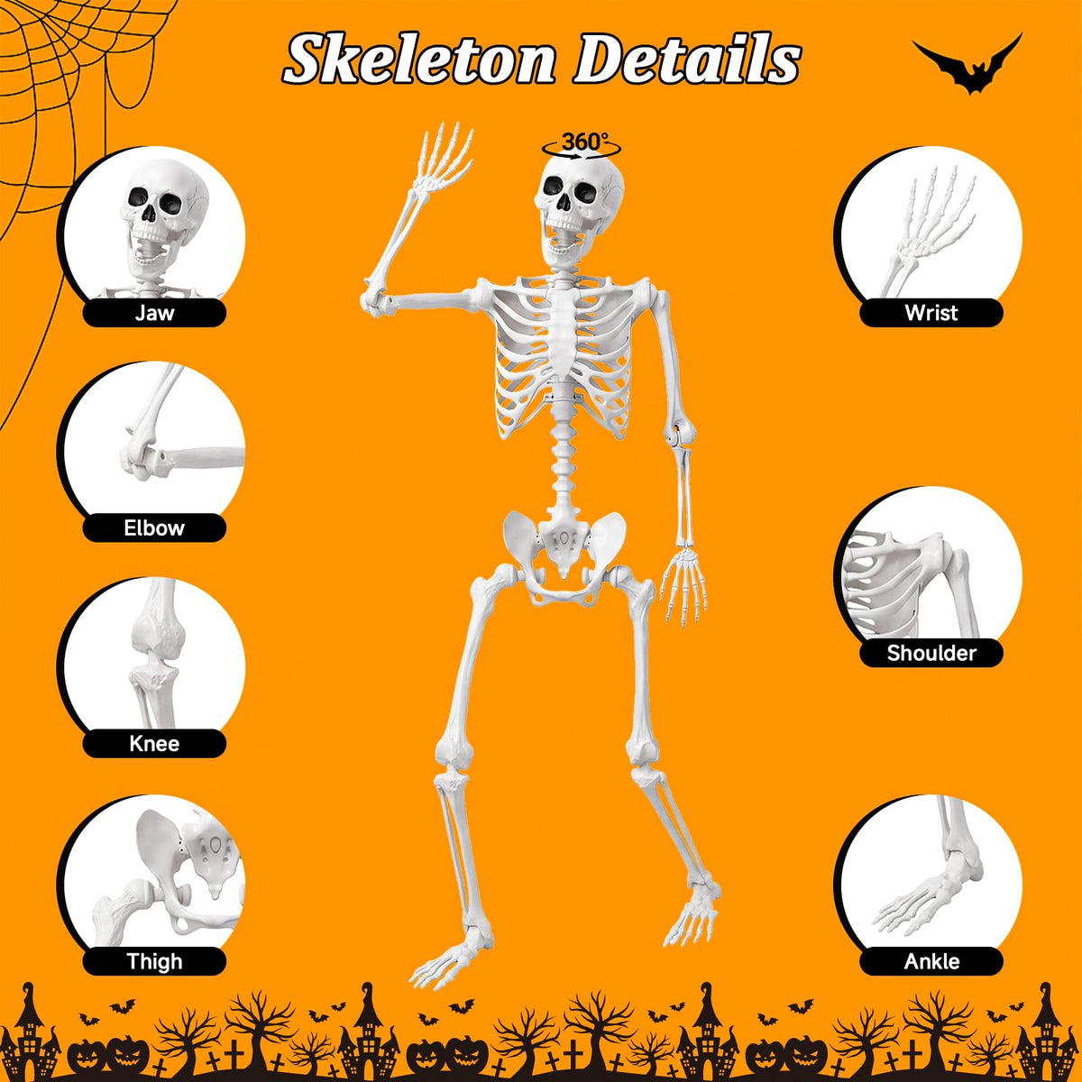 Life Size Skeleton with Posable Joint O47099