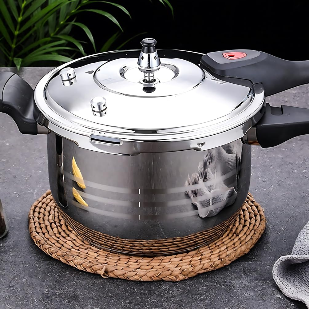 Stainless Steel Pressure Cooker F487