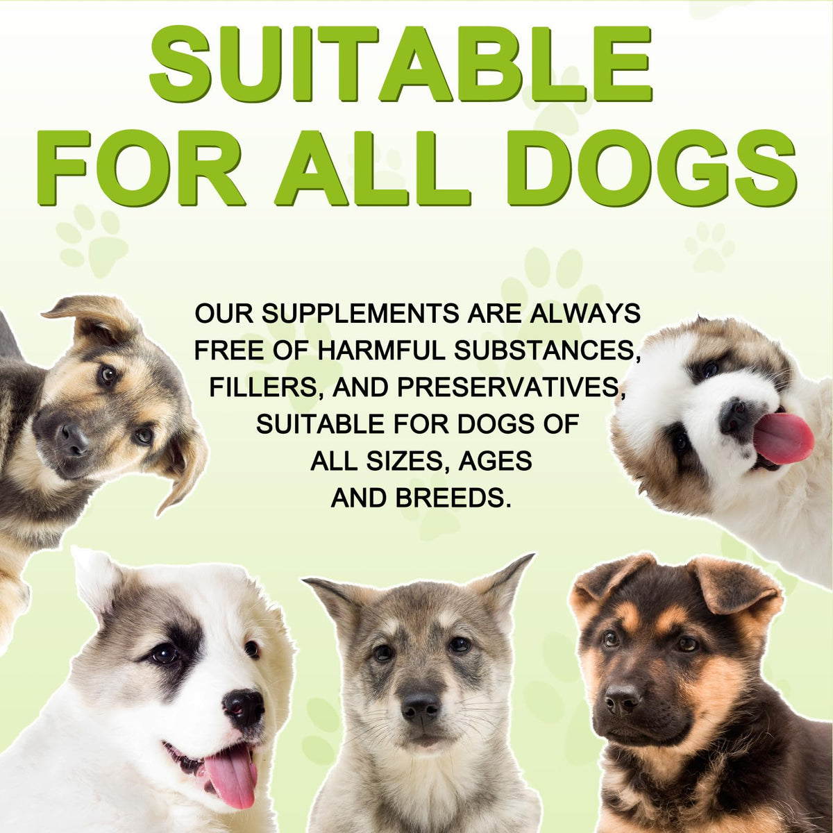 180 Chewable Milk Thistle Tablets for Dogs P276