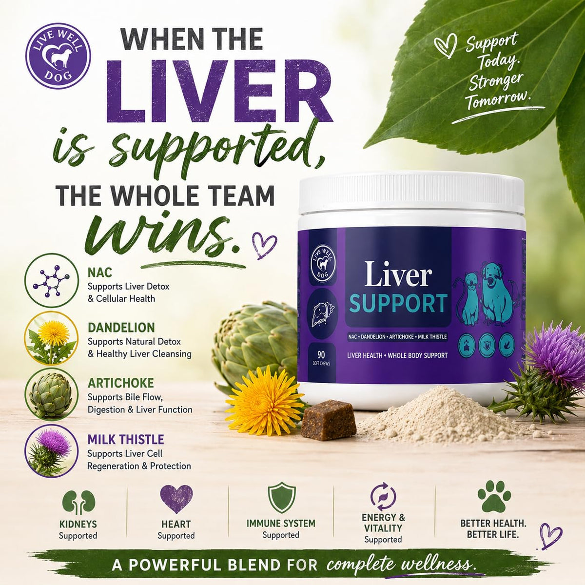 Liver Support Powder 6.35 oz B91225