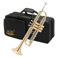 Bb Trumpet with Yellow Brass Bell and Stainless Steel Valves P5366