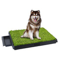25"x20" Dog Grass Pee Pad with Tray L67043