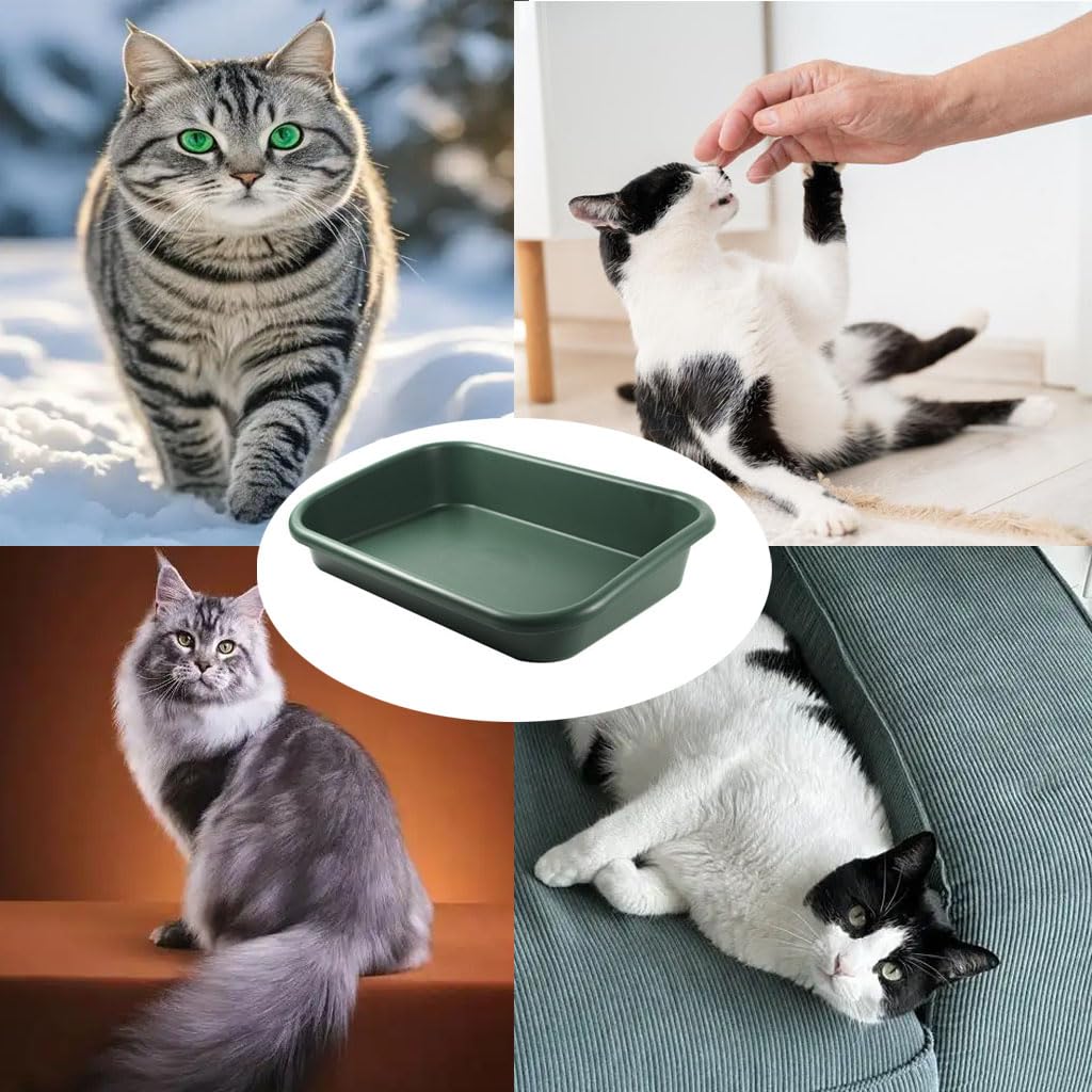 Extra Large High Sides Low Entry ABS Litter Box F42095