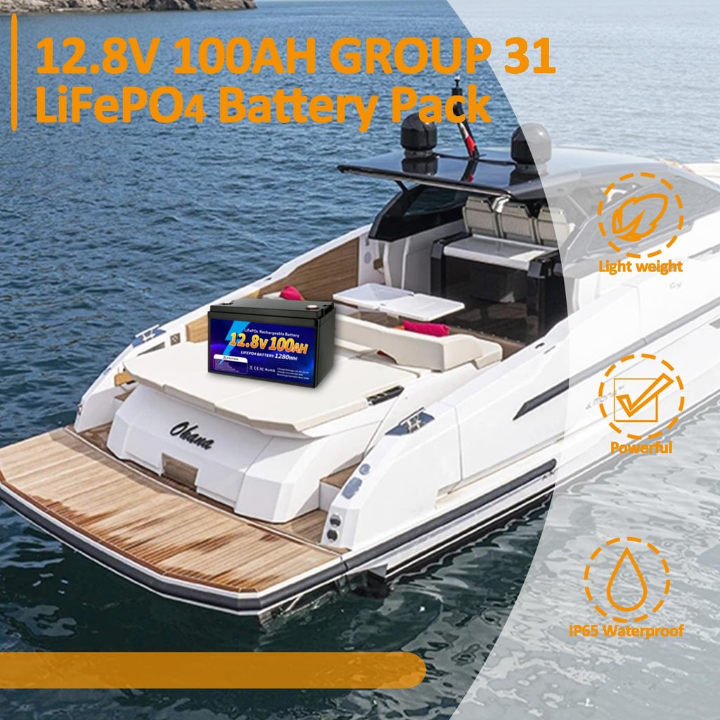 12V 100Ah LiFePO4 Battery G21259