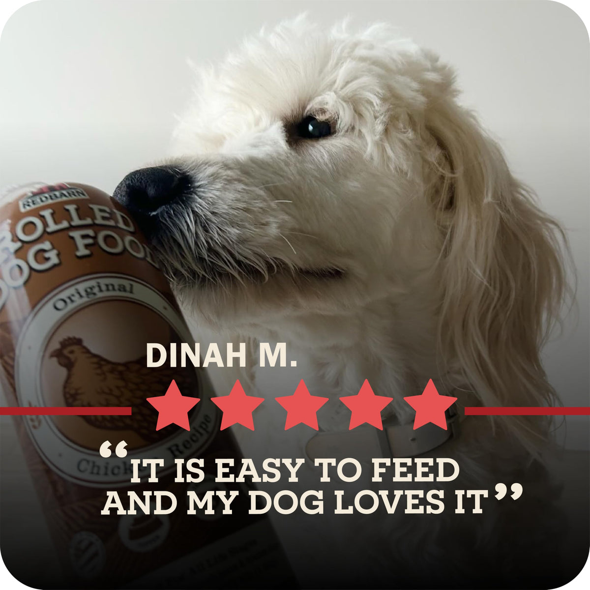 Semi-Moist Rolled Dog Food Beef Recipe 4lb 8 Rolls T8200