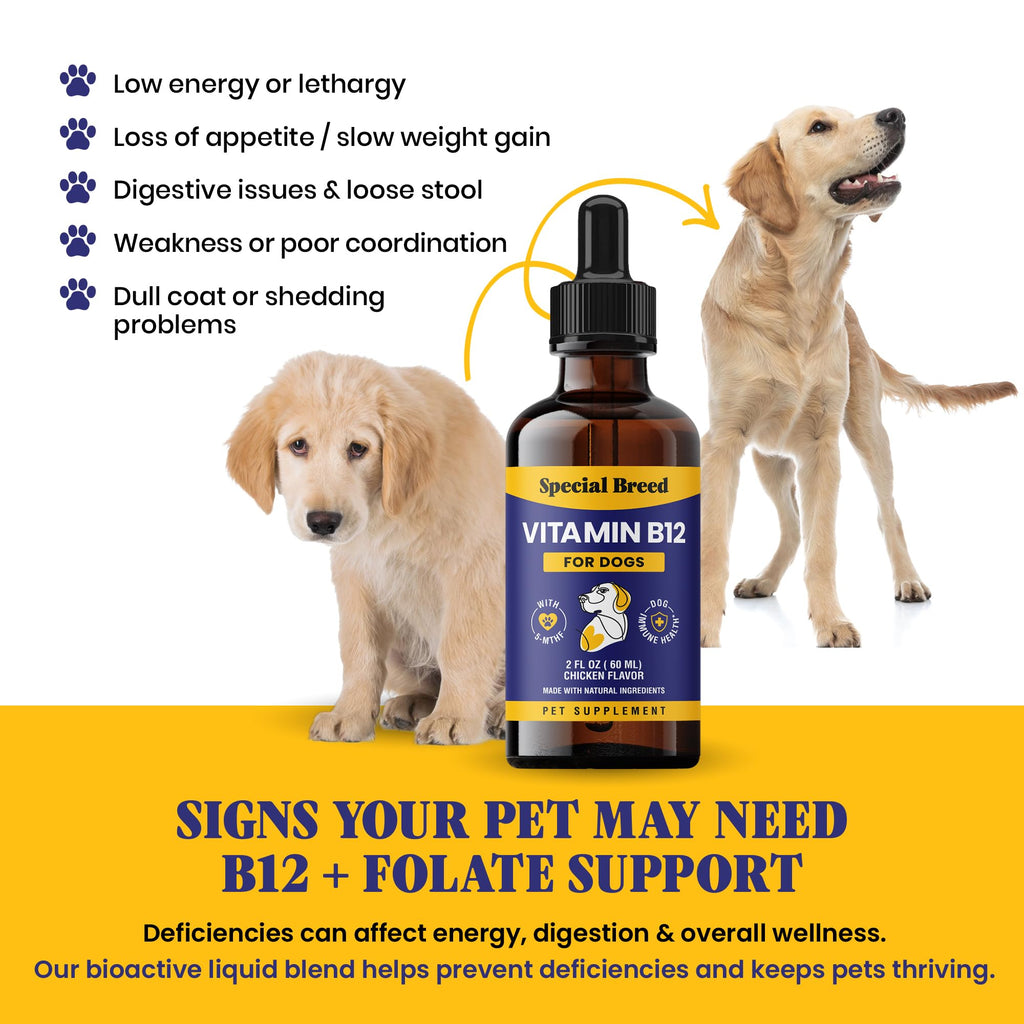 Liquid Vitamin B12 for Dogs, Chicken Flavor, 2 fl oz D416