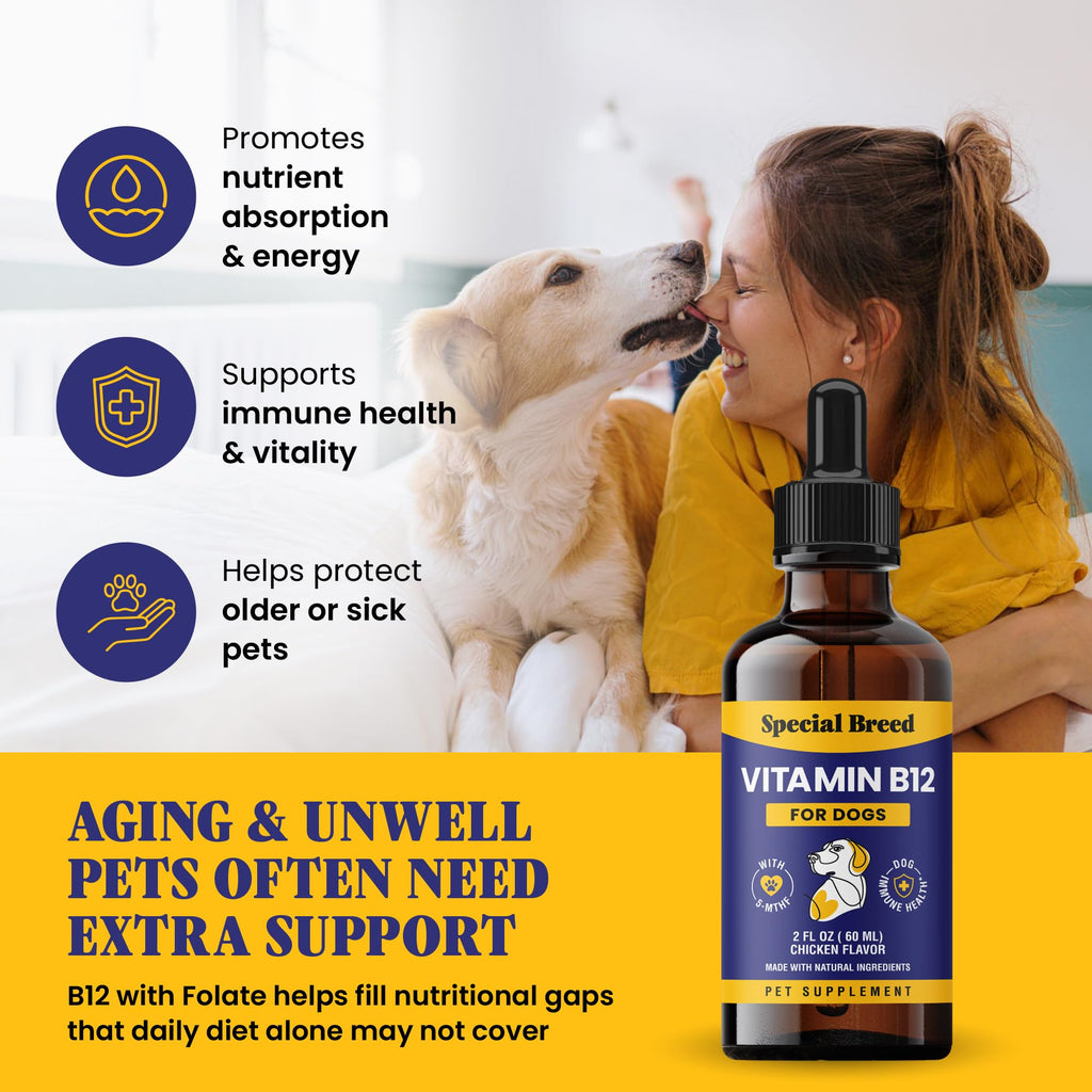 Liquid Vitamin B12 for Dogs, Chicken Flavor, 2 fl oz D416