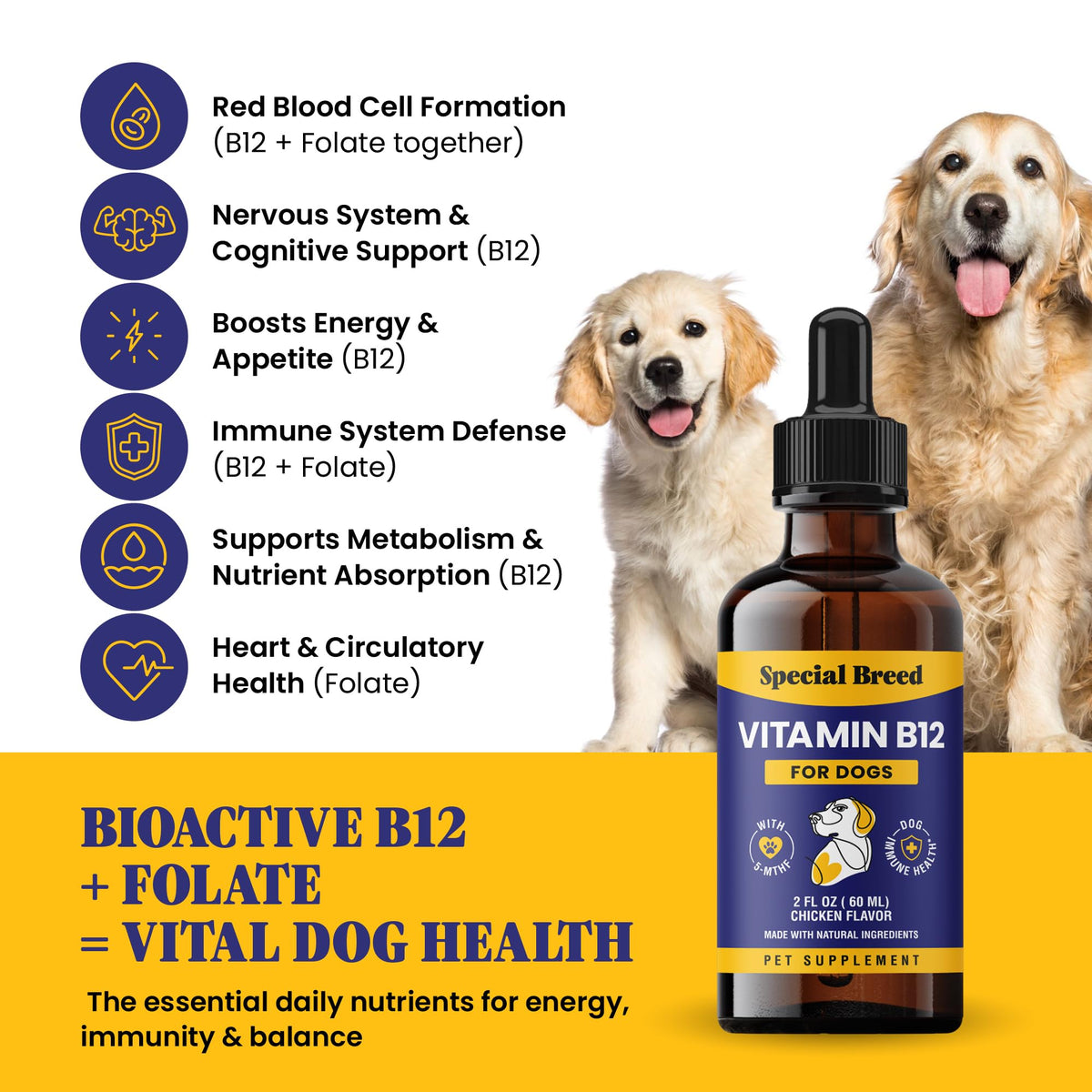 Liquid Vitamin B12 for Dogs, Chicken Flavor, 2 fl oz D416