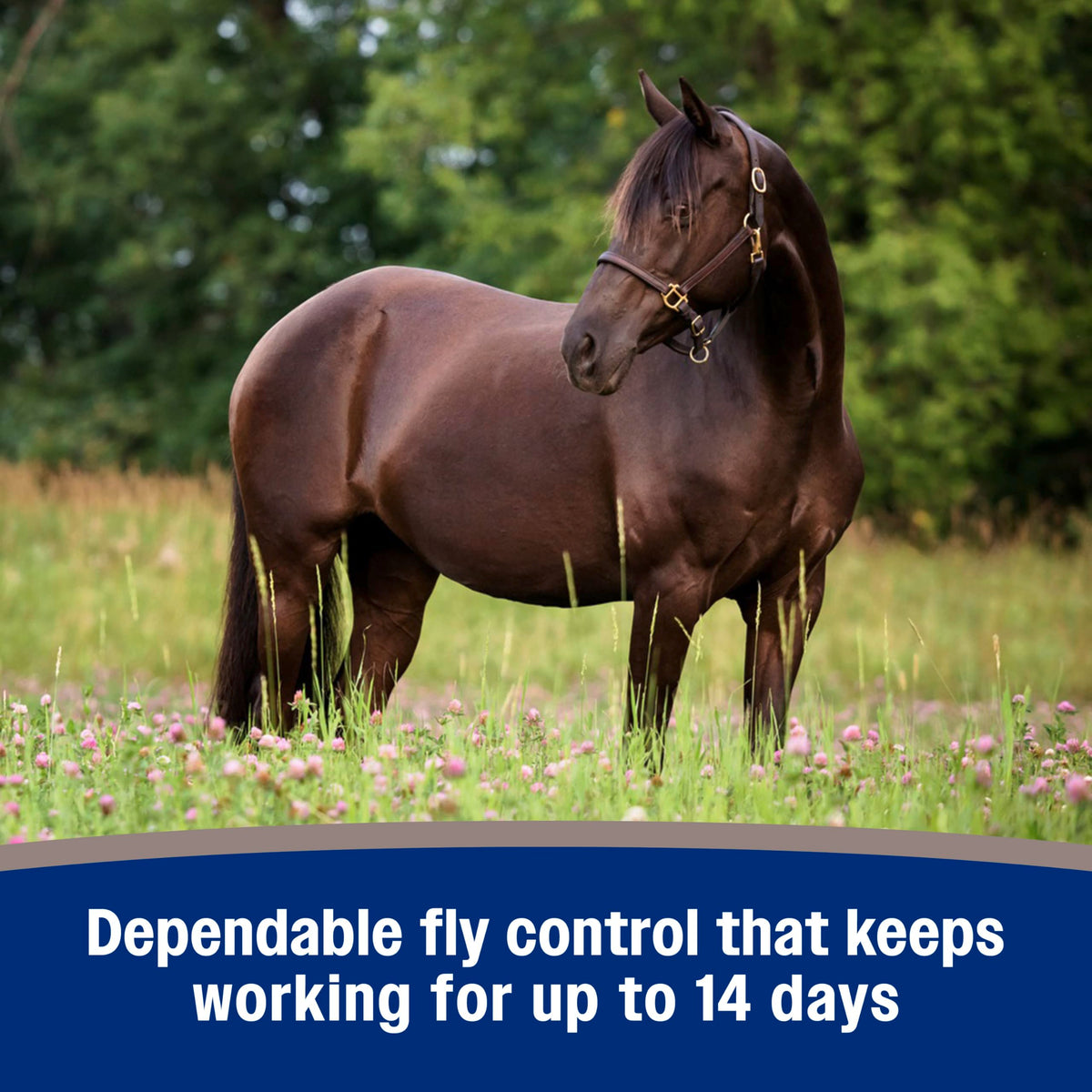 Fly Spray for Horses 128 oz Y319007