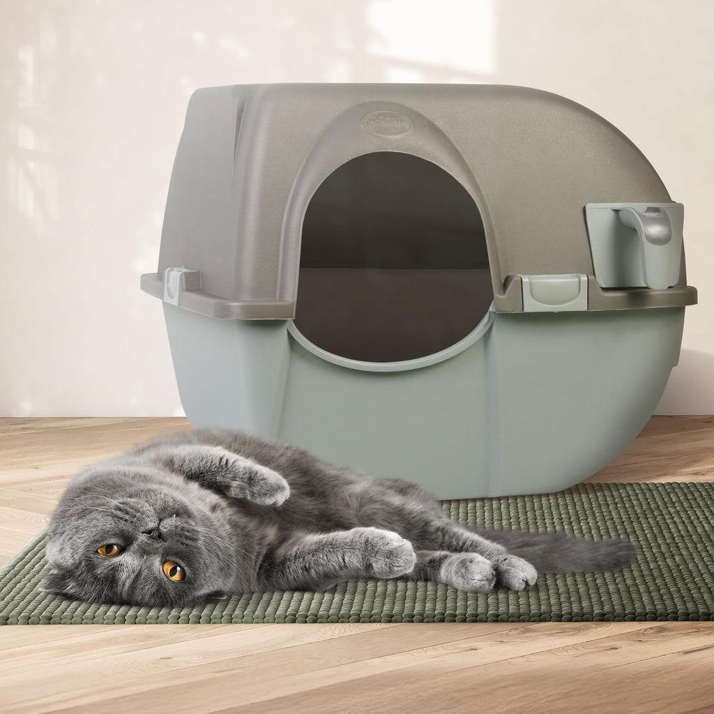Self Cleaning Litter Box Regular Size Grey Z3992
