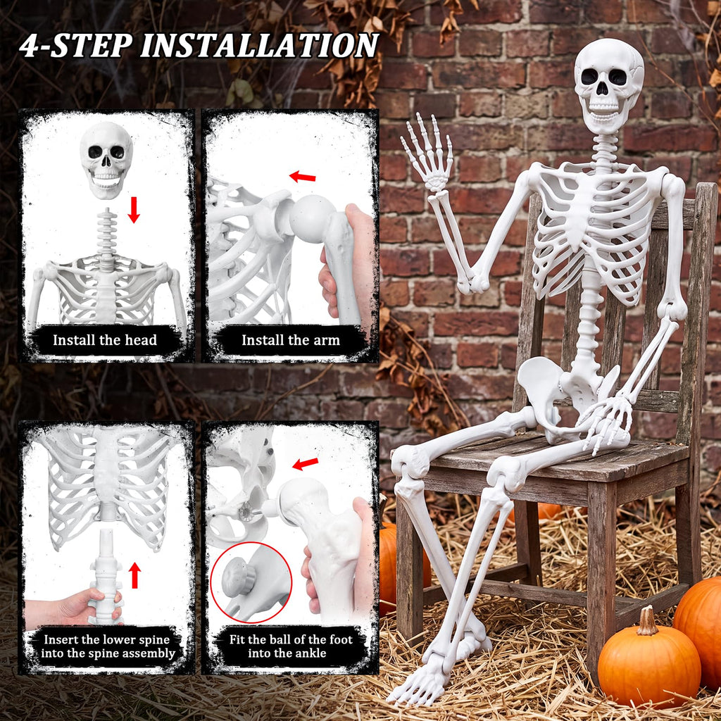 Life Size Skeleton with Posable Joint O47099