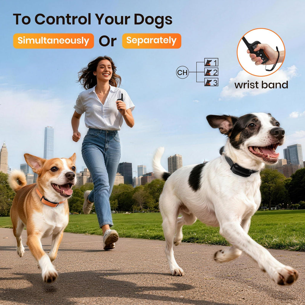 Vibration Collar with Controller for 2 Dogs, 3300ft Waterproof E703