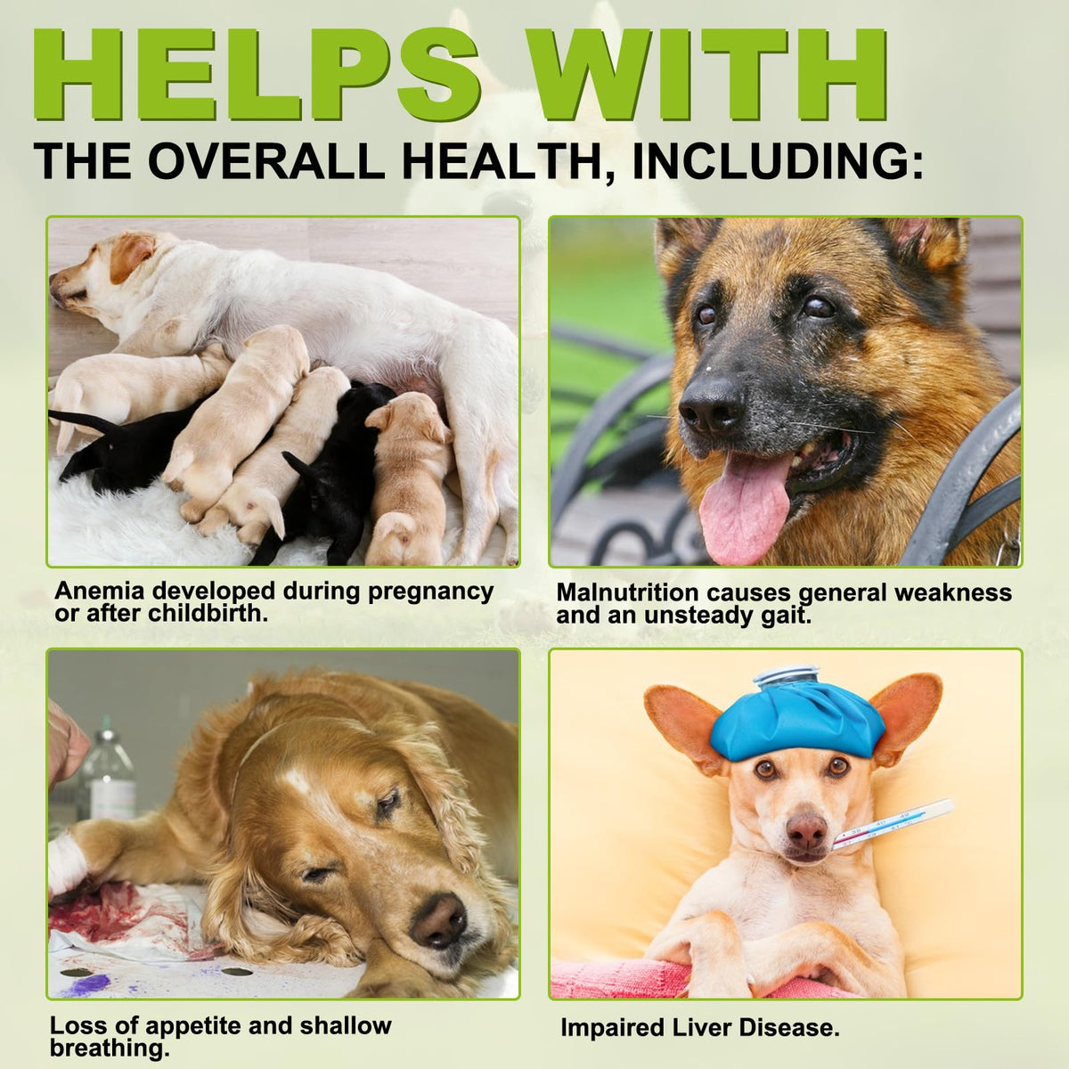 180 Chewable Milk Thistle Tablets for Dogs P276