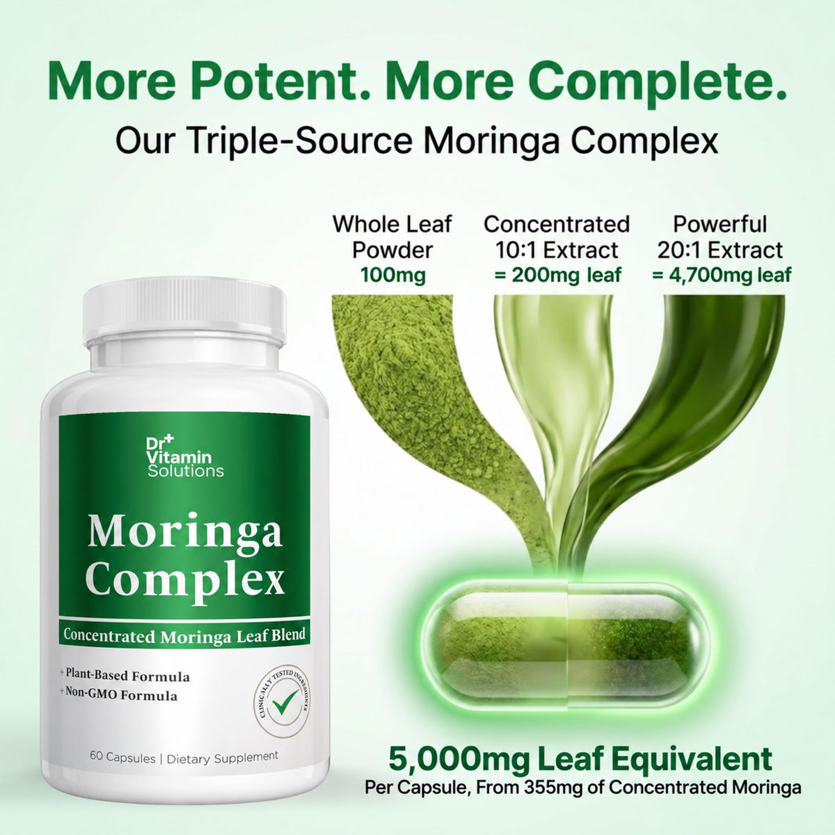 Moringa Oleifera Capsules with 20:1 Leaf Extract O81367