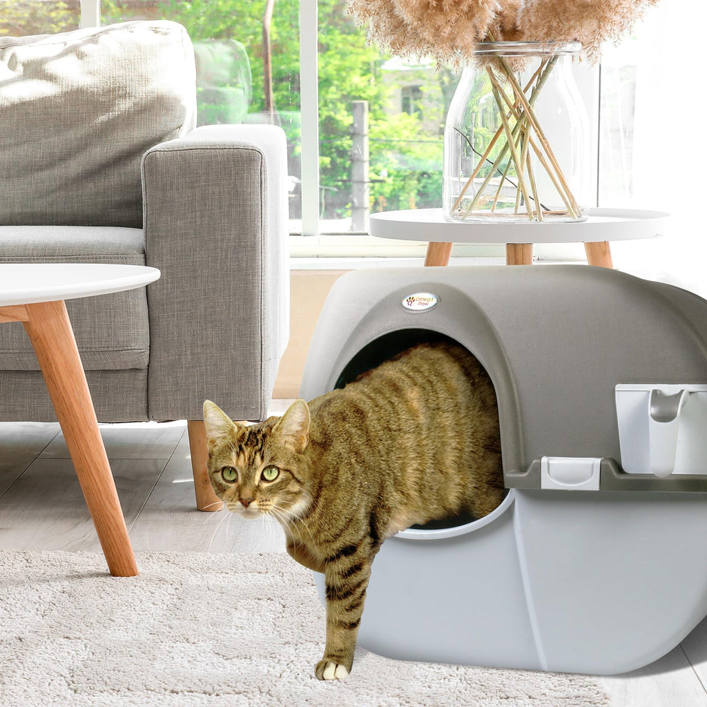 Self Cleaning Litter Box Regular Size Grey Z3992