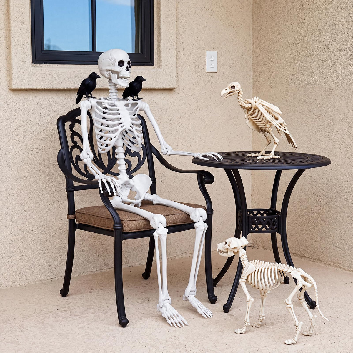 Life Size Skeleton with Posable Joint O47099