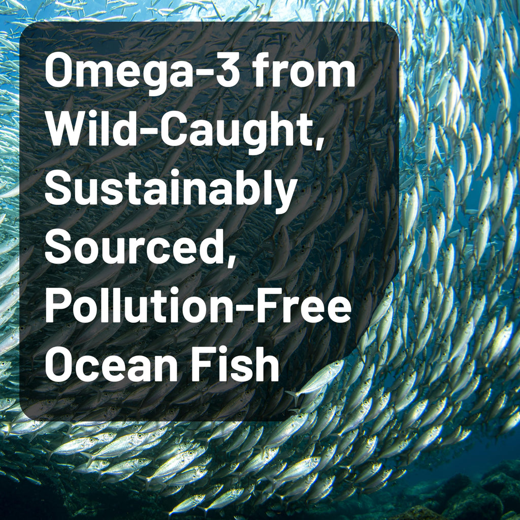 Omega 3 Fish Oil 4080mg Softgels G420204